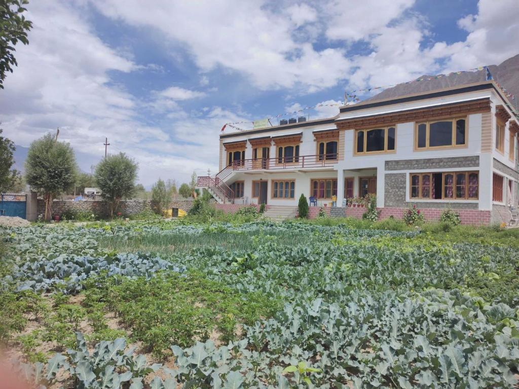 Skayil Guest House
