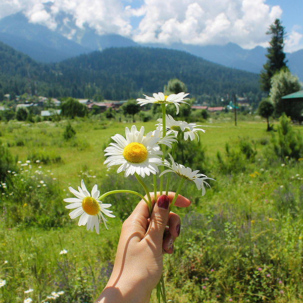 Pahalgam – Nature & Relaxation