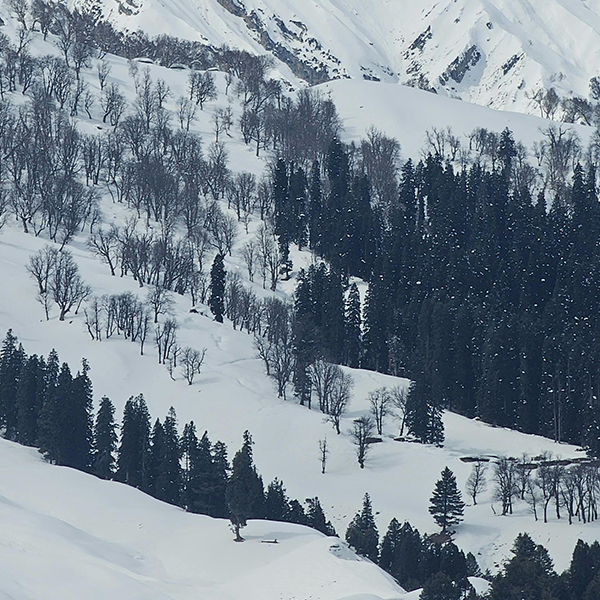 Sonamarg – The Meadow of Gold