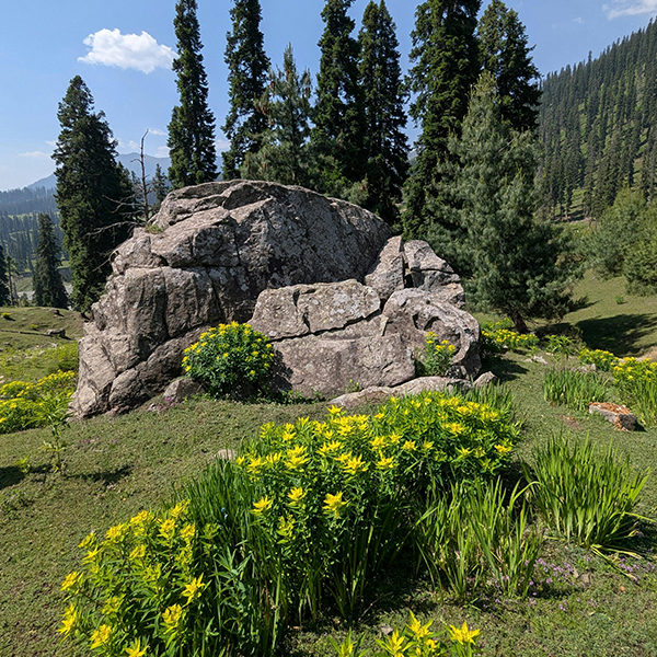 Yusmarg – Hidden Gem